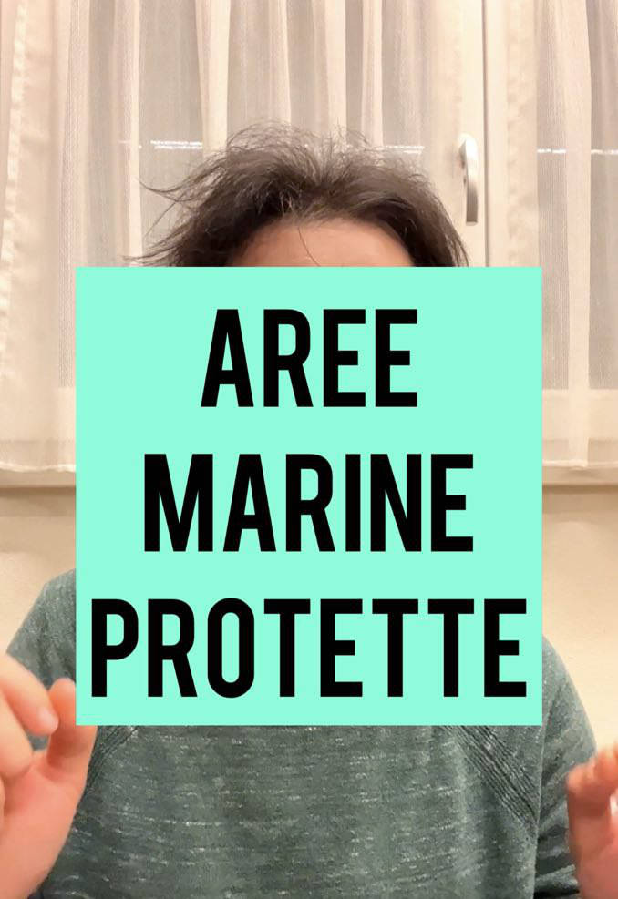 Immagine di anteprima del video TikTok di Notizie Terra Terra intitolato: Aree marine protette
